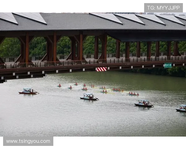 世界划船锦标赛桨频与速度的回归方程赛