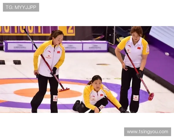 世界冰壶锦标赛投壶力量与旋转的关系赛